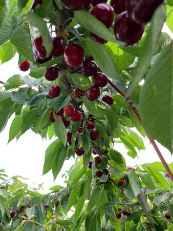 WeChat Image_20190512163840.jpg