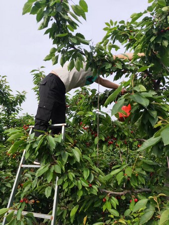 WeChat Image_20190512163827.jpg