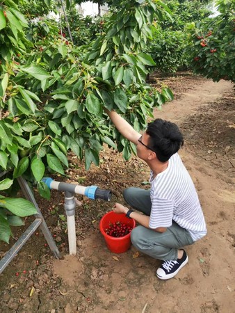 WeChat Image_20190512163830.jpg